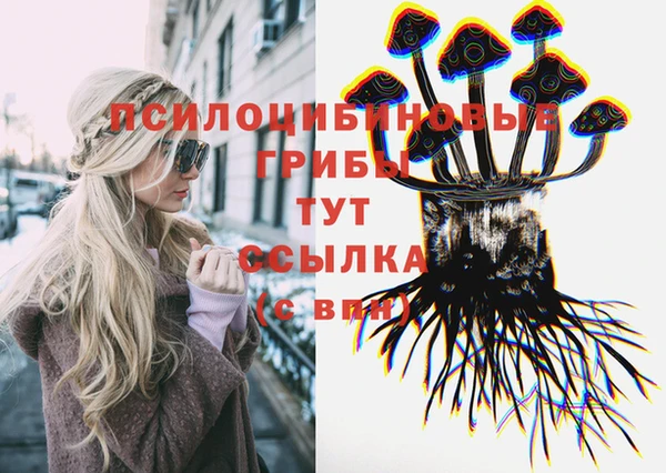 первитин Надым