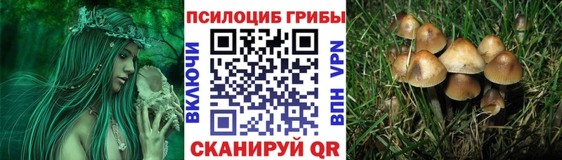 Псилоцибиновые грибы Magic Shrooms  цены наркотик  Горбатов 